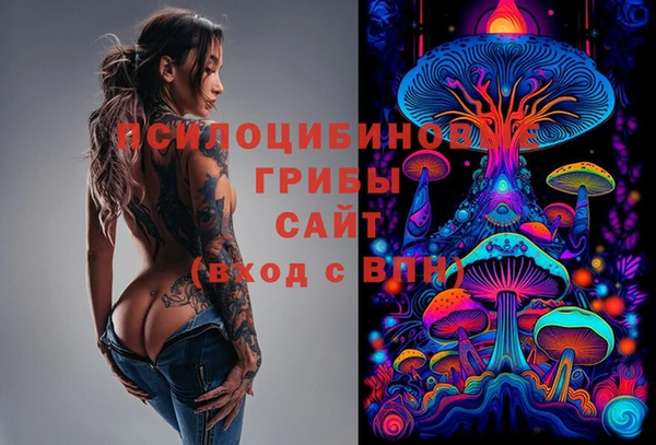ПСИЛОЦИБИНОВЫЕ ГРИБЫ Белокуриха