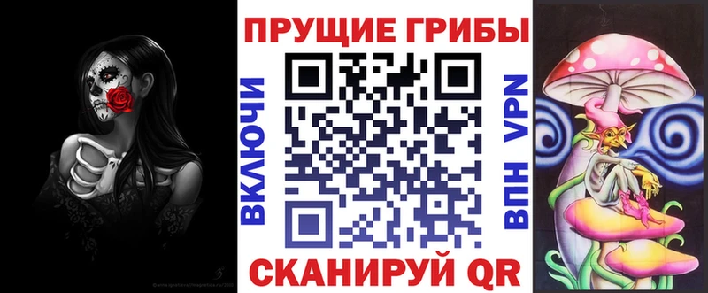 Псилоцибиновые грибы Cubensis  Салаир 